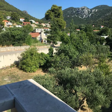 Domenika