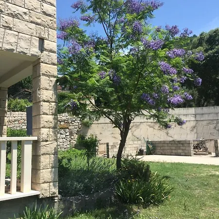 Apartment Domenika *
